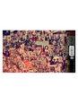 Orin Swift Abstract 750ML 2022 image number 4