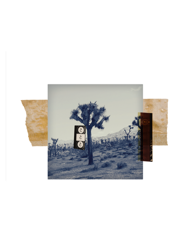 Orin Swift 8 Years in the Desert 750ML 2021 image number 3