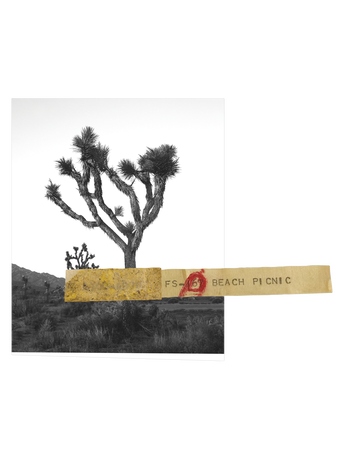 Orin Swift 8 Years in the Desert 750ML 2022 image number 3