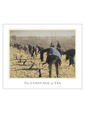 The Language of Yes Grenache 2020 750ML image number 5