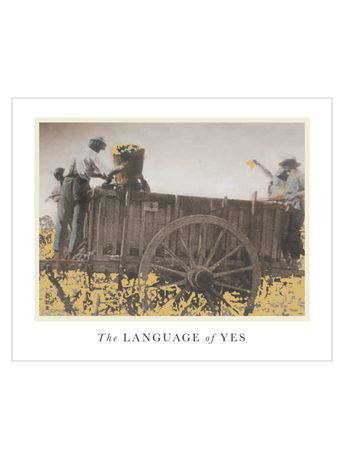 The Language of Yes Syrah 2020 750ML image number 5