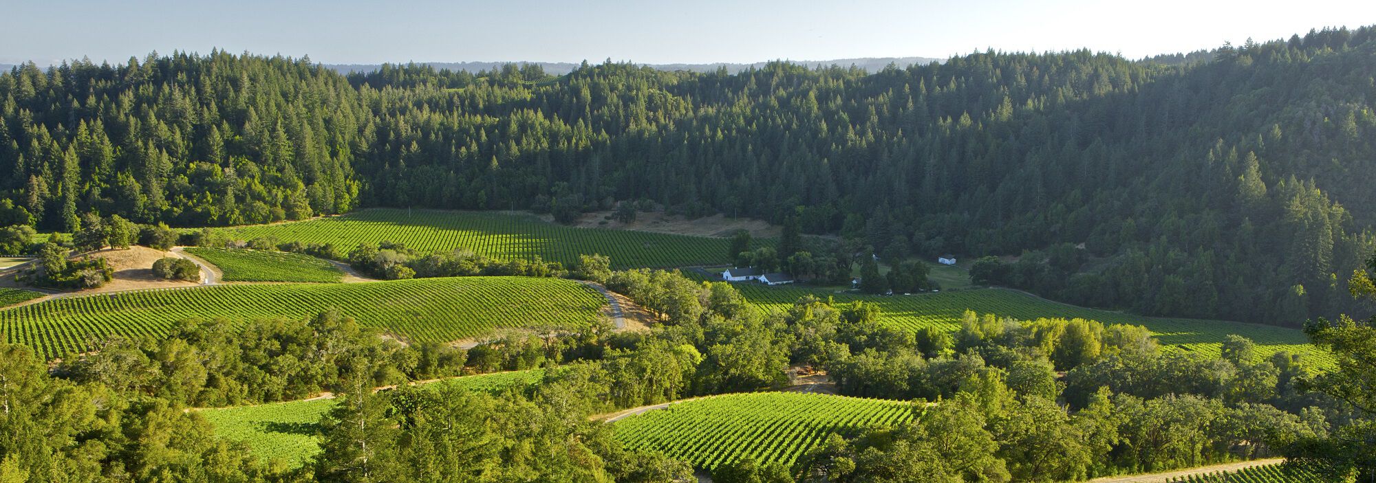 Product Image Pending for The Barrel Room