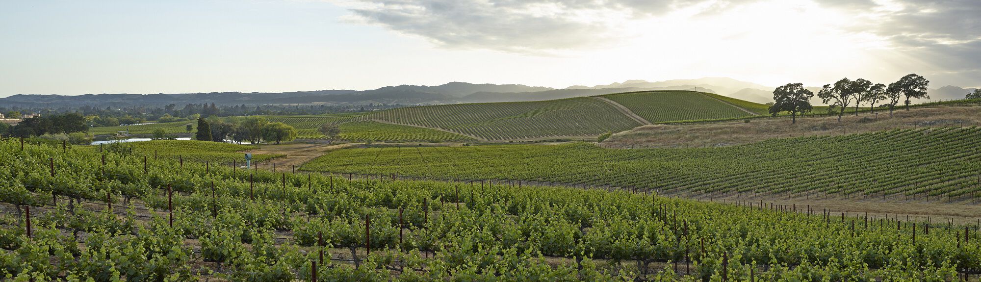 Product Image Pending for The Barrel Room