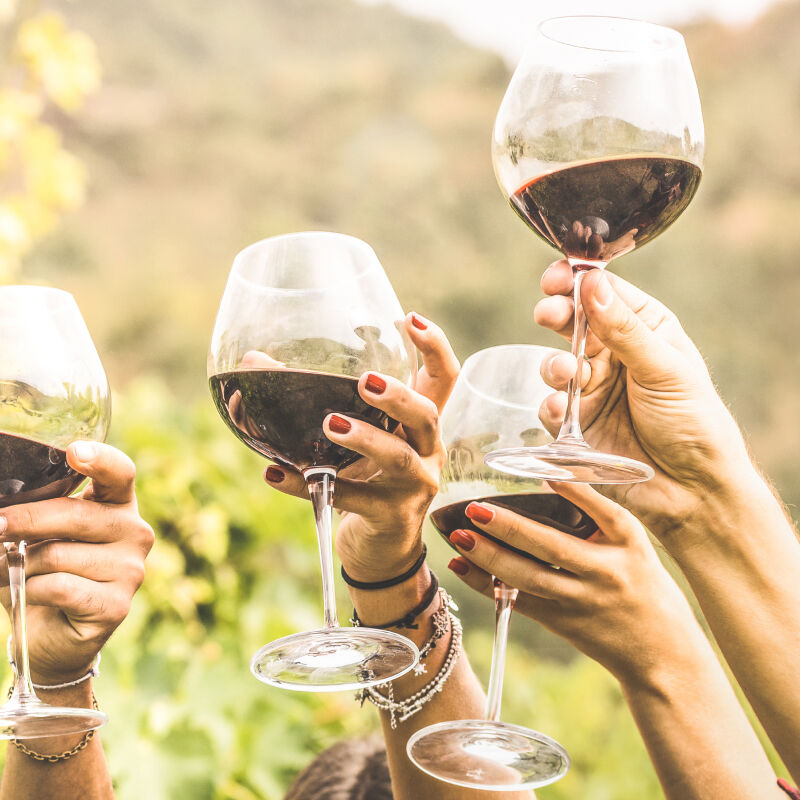 White wine glasses toasting