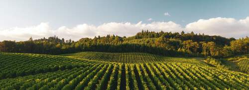 Product Image Pending for The Barrel Room Product Image Pending for The Barrel Room