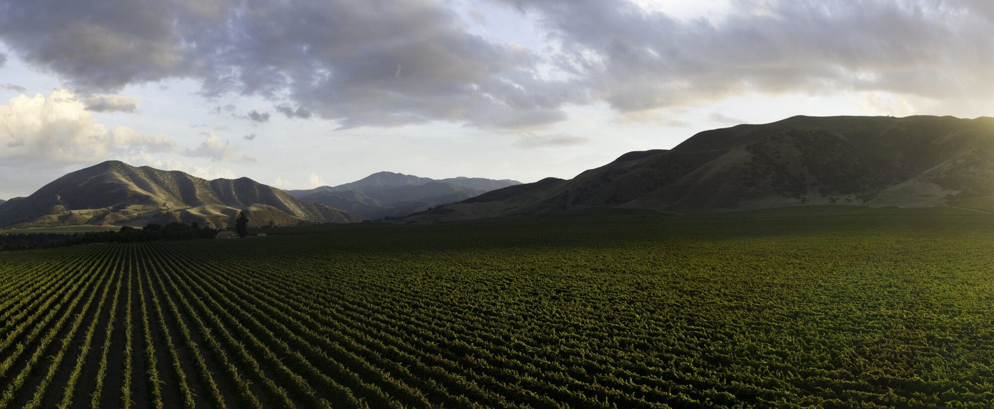 Product Image Pending for The Barrel Room