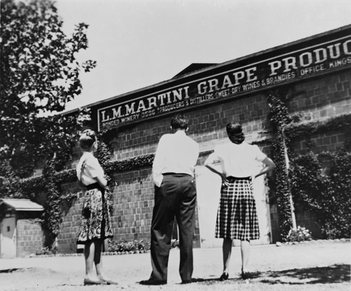 Napa Valley Louis Martini Historical Black and White Photo