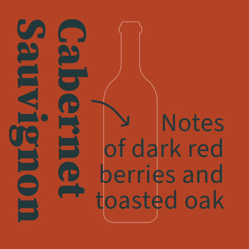 Cabernet Illustration with tasting notes