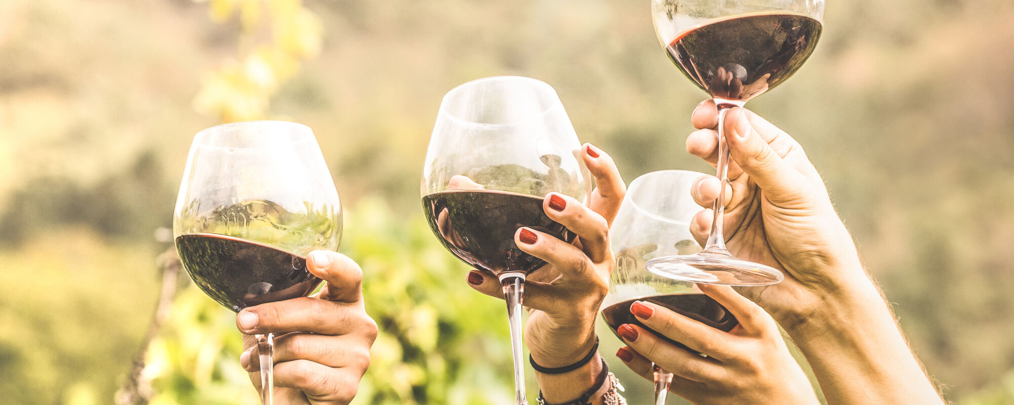 White wine glasses toasting