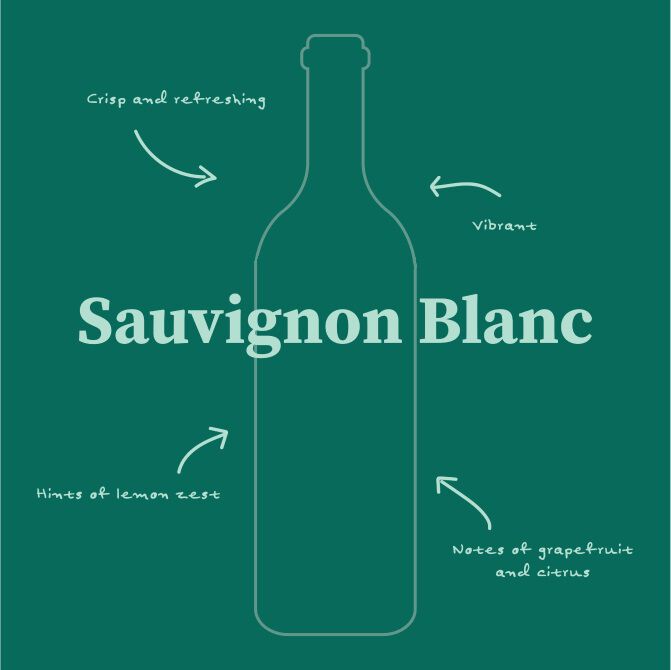 Sauvignon Blanc Illustration with tasting notes