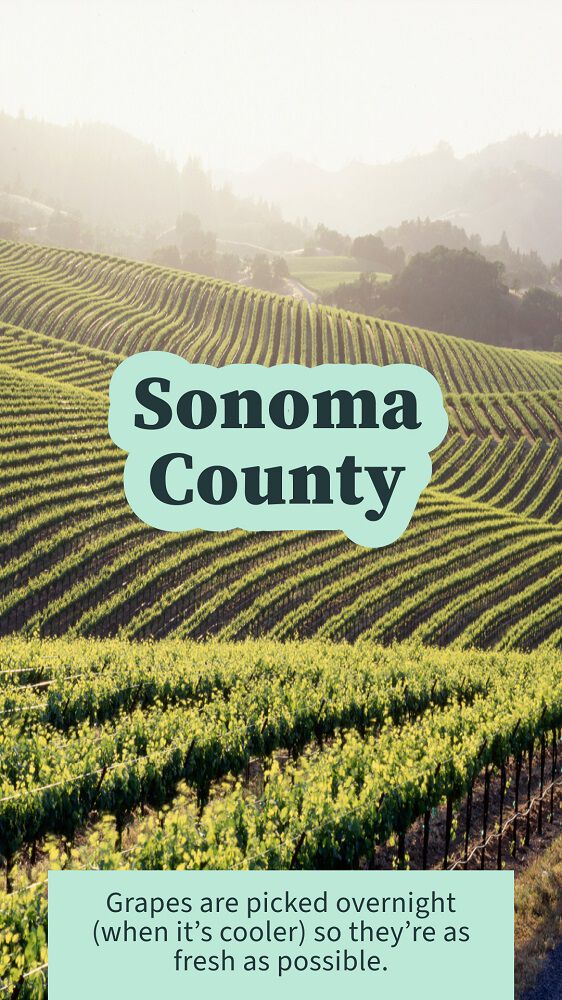Sonoma County Wine Country 