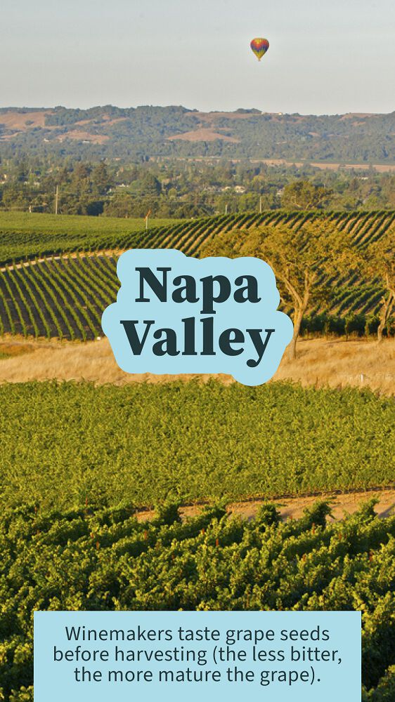 Napa Valley Image