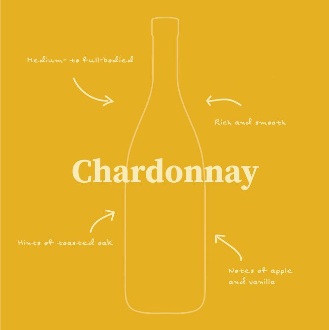 Chardonnay Illustration with tasting notes