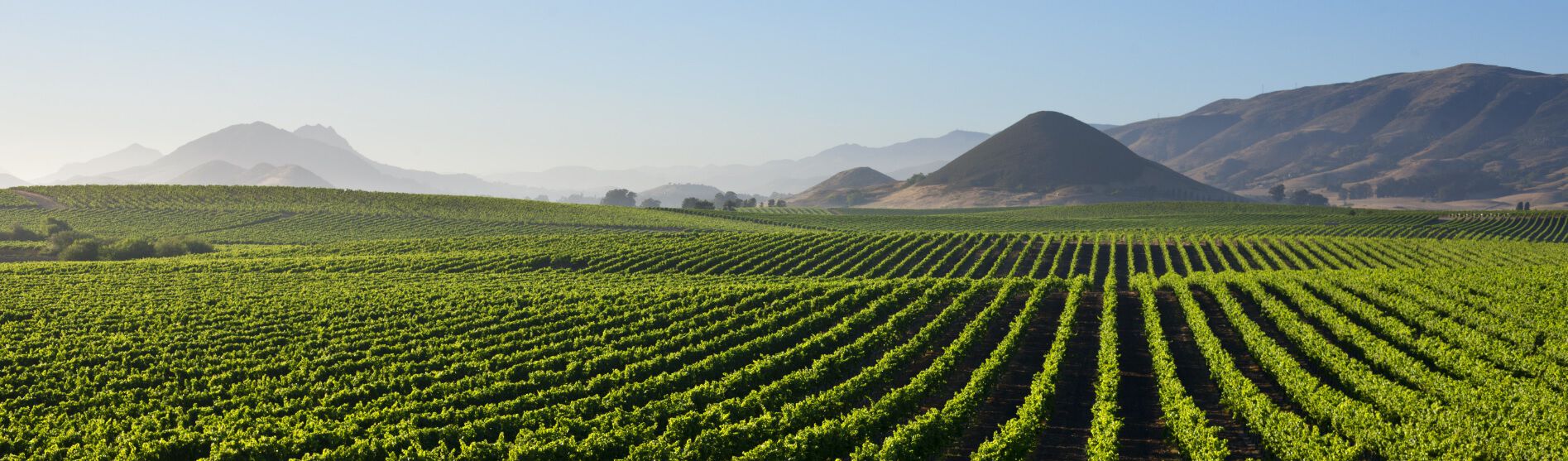 Product Image Pending for The Barrel Room