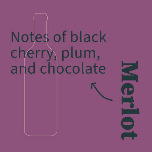 Merlot Illustration with tasting notes