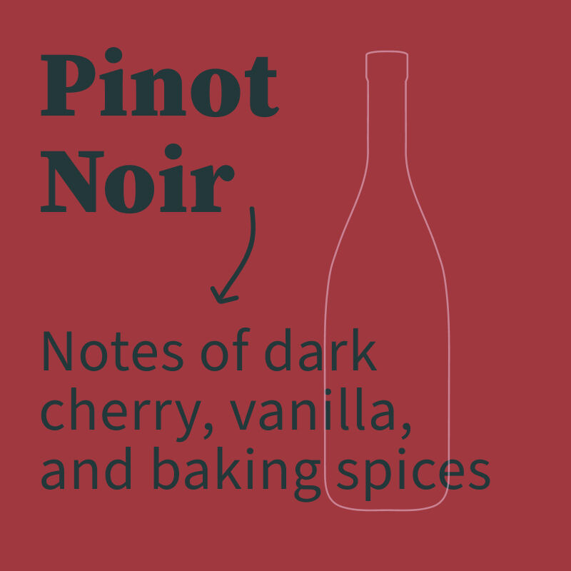 Pinot Noir Illustration with tasting notes