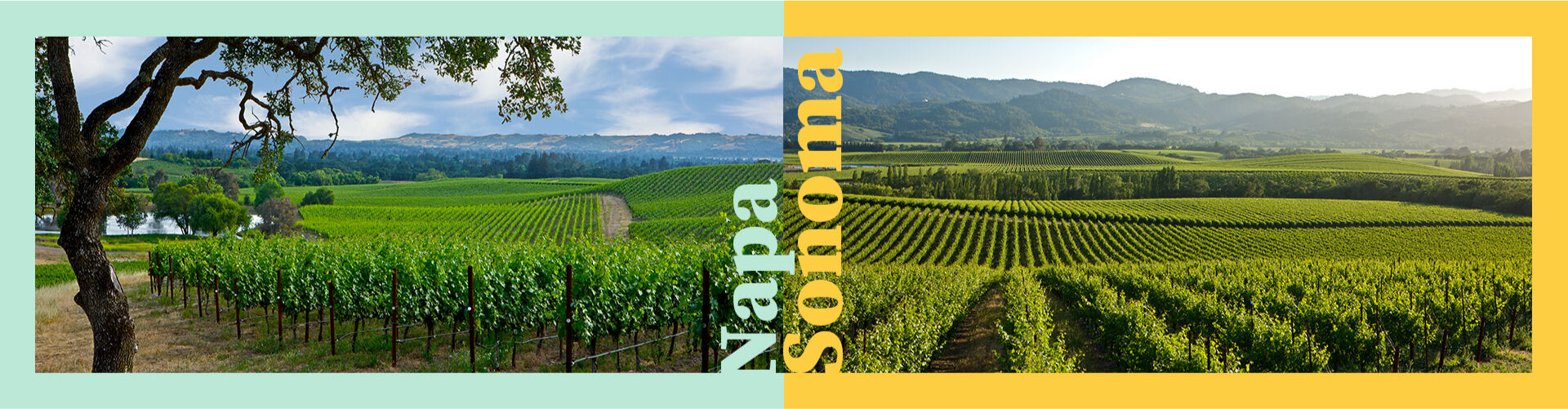 Product Image Pending for The Barrel Room