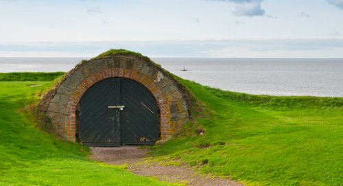 Cellar Door
