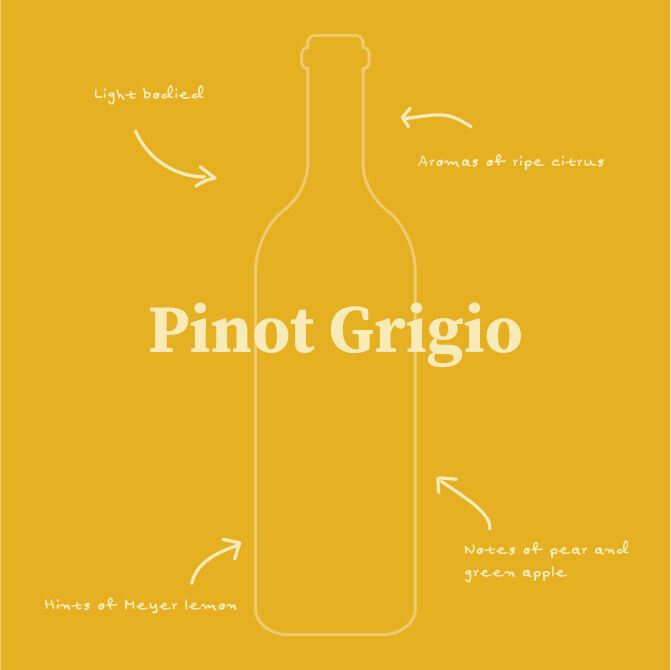 Moscato Illustration with tasting notes