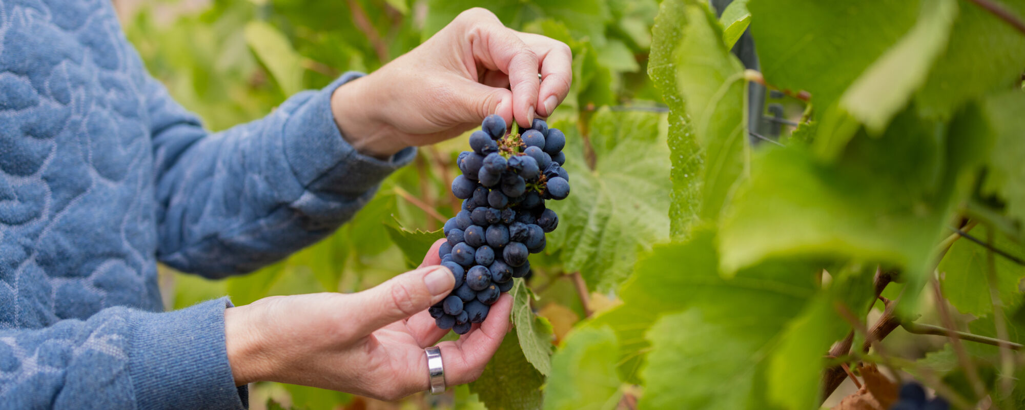 Product Image Pending for The Barrel Room