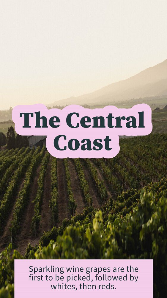 Central Coast Wine Country