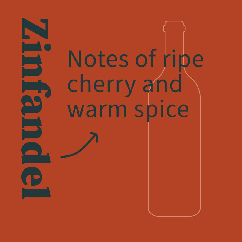 Zinfandel Illustration with tasting notes