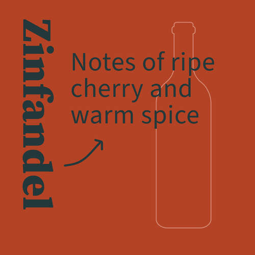 Zinfandel Illustration with tasting notes