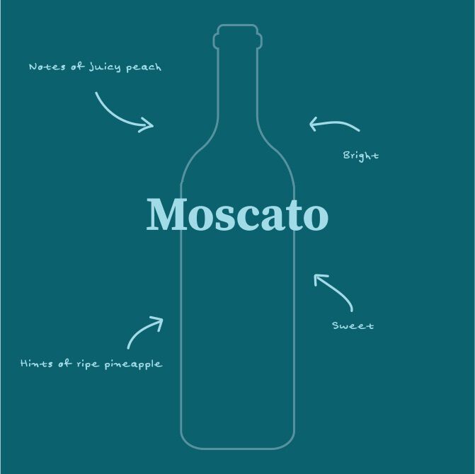 Moscato Illustration with tasting notes