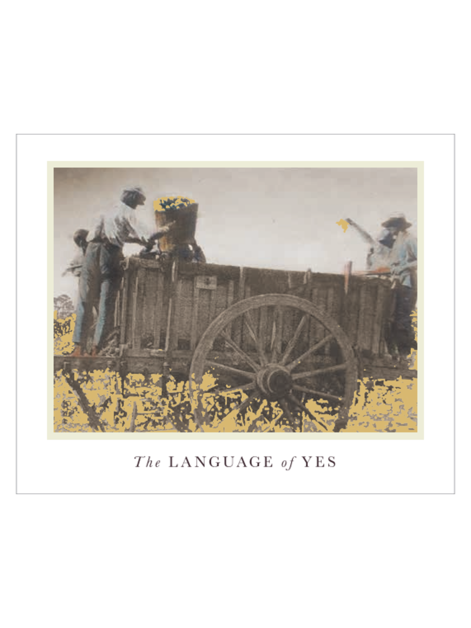 The Language of Yes Syrah 2020 750ML image number 5