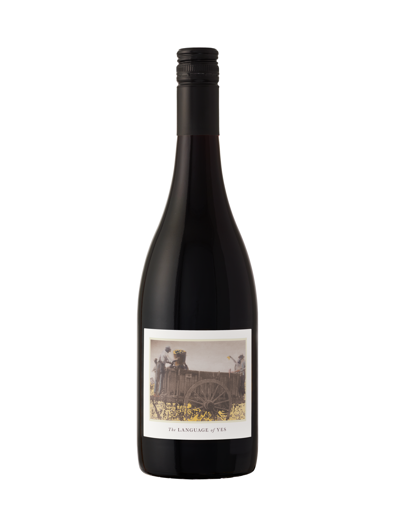 The Language of Yes Syrah 2020 750ML image number 3