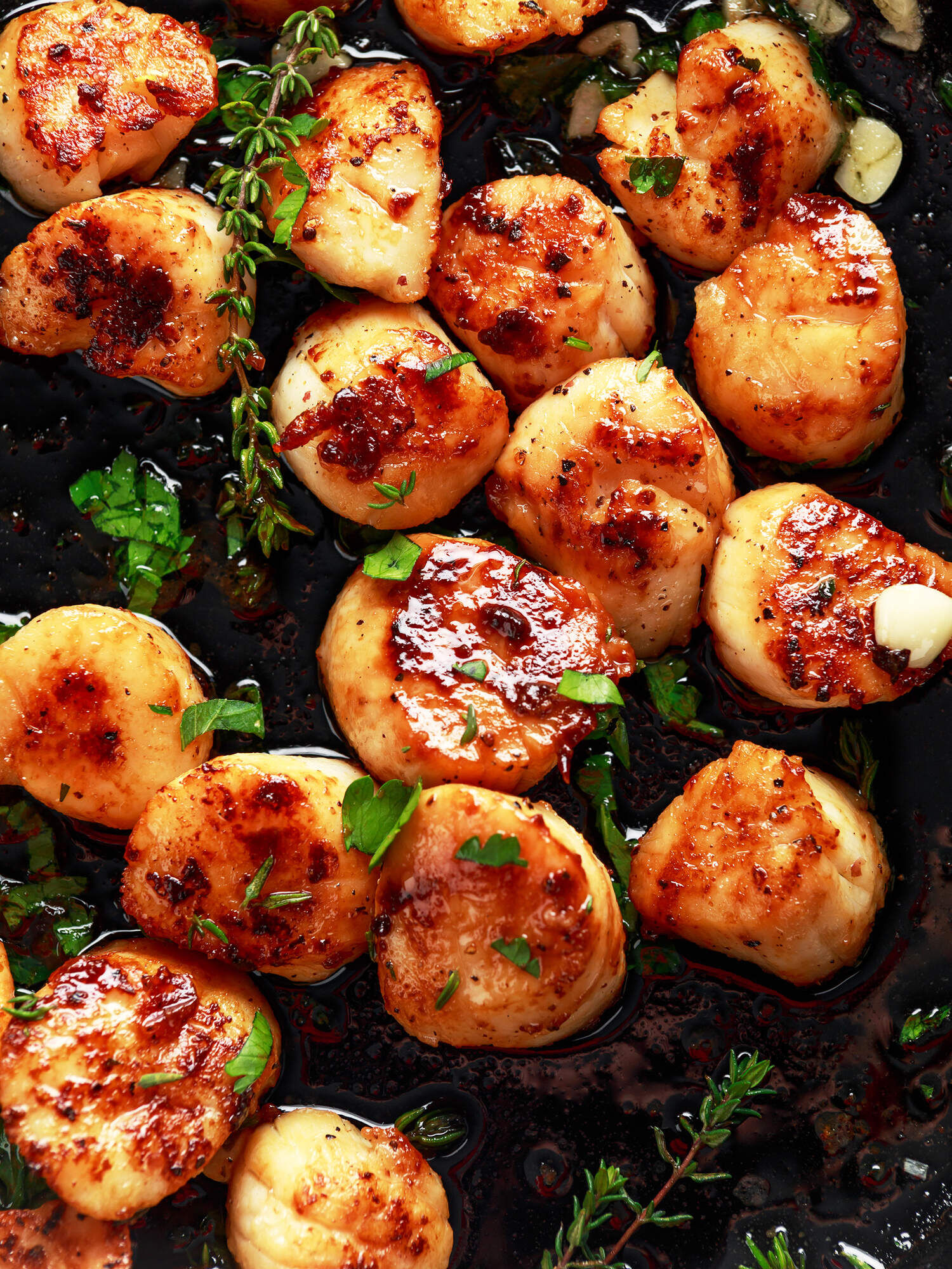 Grilled Scallops Image