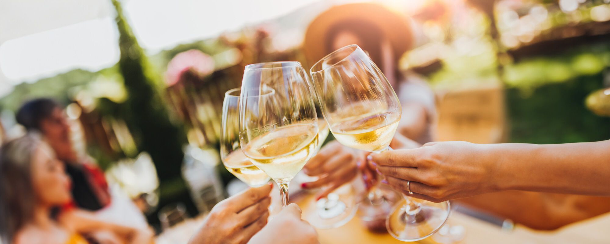 White wine glasses toasting